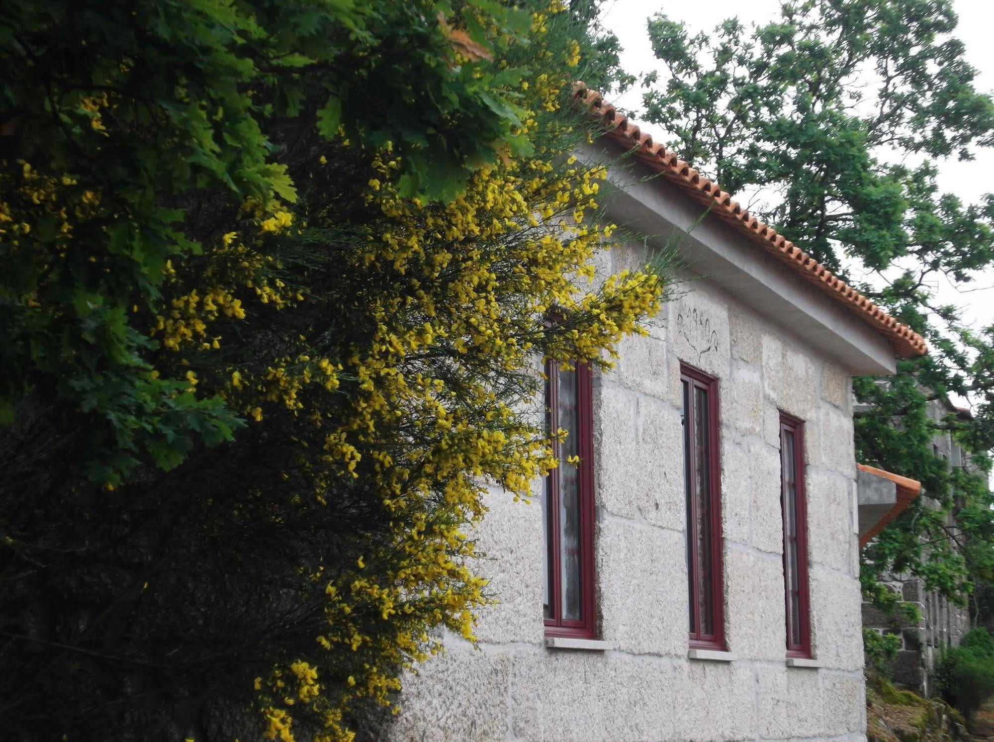 Vila Casa Do Tear Macieira de Alcoba Exteriér fotografie